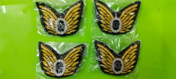 8A Acd Indian coast Guard Badge
