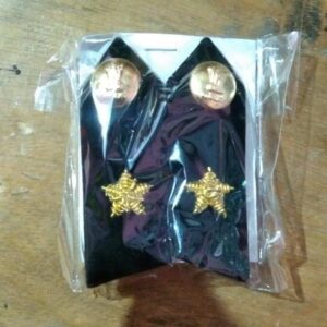 DIG 1 Star Collar Tab Indian Coast Guard