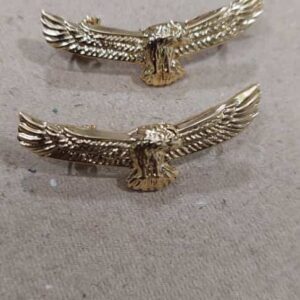 Eagle Badge Indian coast guard
